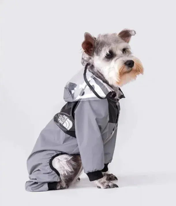 Paw Chic Personalized Raincoat Mishmishpets