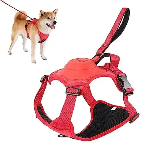 All-in-One Dog Harness & Retractable Leash - Mishmishpets