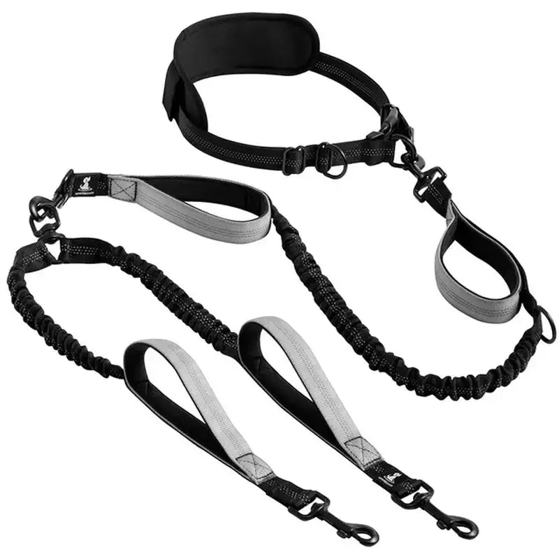 Reflective Comfort Leash Duo Mishmishpets