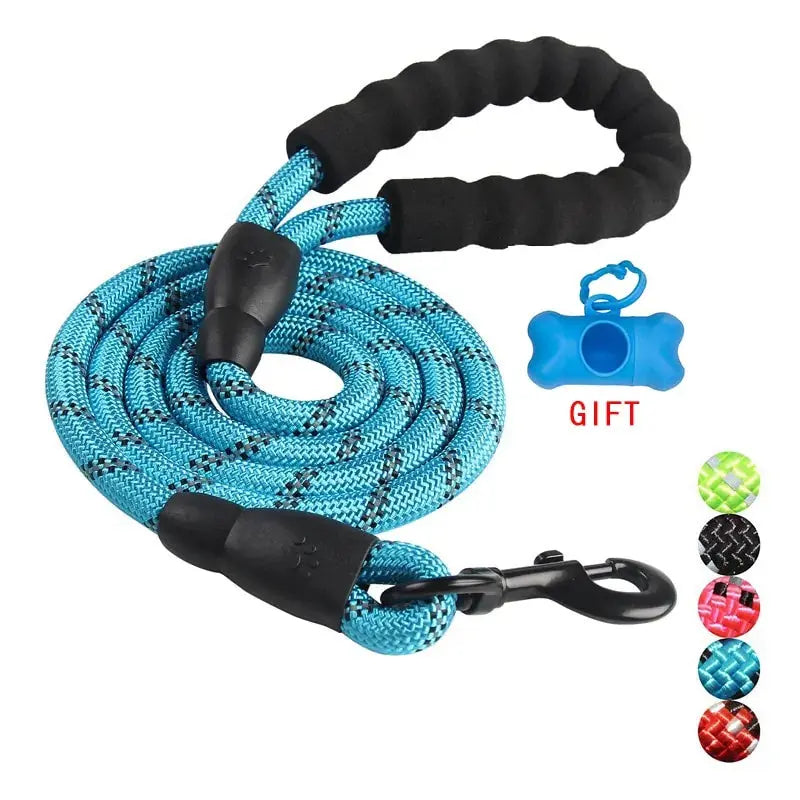 Pet Dog Leash Walking Training Leash Mishmishpets