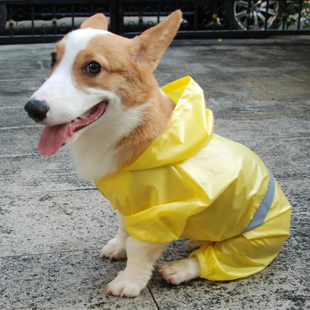 Pet Dog Waterproof Raincoat Jumpsuit Reflective Rain Coat Sunscreen Dog Outdoor Clothes Jacket for Small Dog Pet Supplies - Mishmishpets