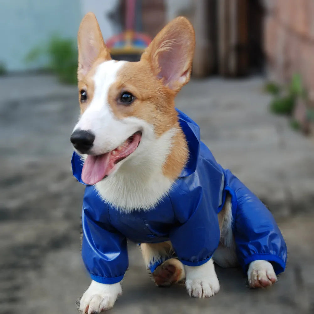 Pet Dog Waterproof Raincoat Jumpsuit Reflective Rain Coat Sunscreen Dog Outdoor Clothes Jacket for Small Dog Pet Supplies - Mishmishpets