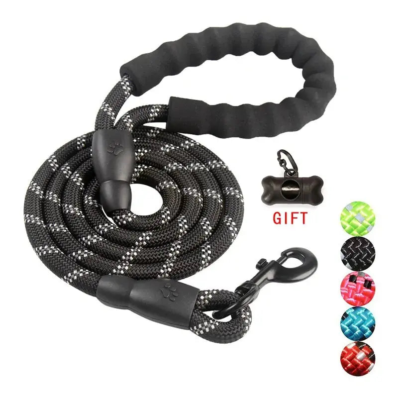 Pet Dog Leash Walking Training Leash Mishmishpets