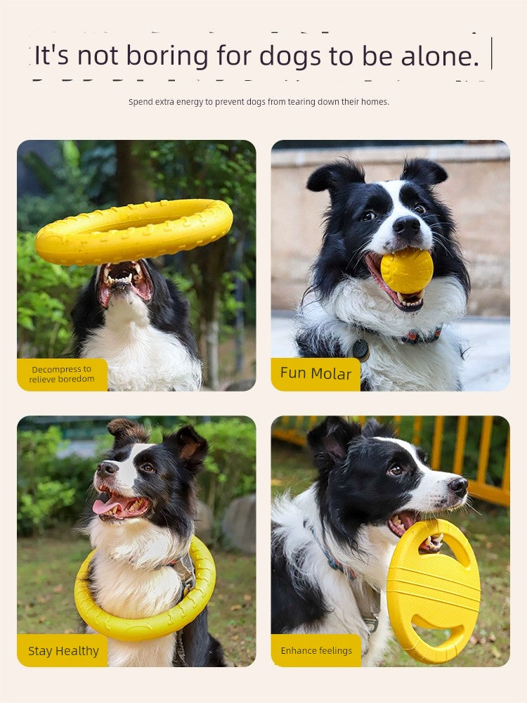 Large Dog Border Collie Jelly Power Ring Relieving Stuffy Handy Gadget Dog - Mishmishpets