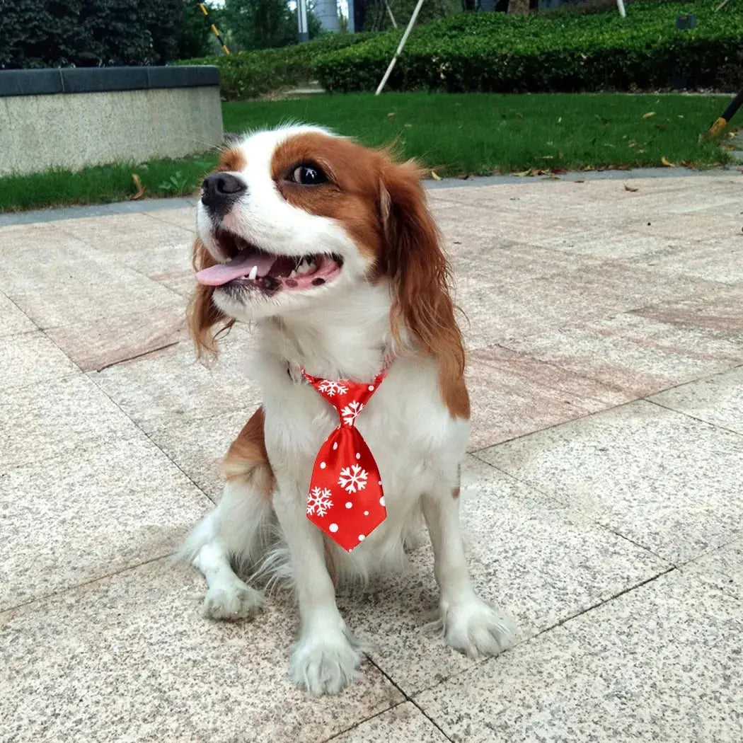 Christmas Dog Necktie Mishmishpets