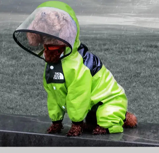 Paw Chic Personalized Raincoat Mishmishpets