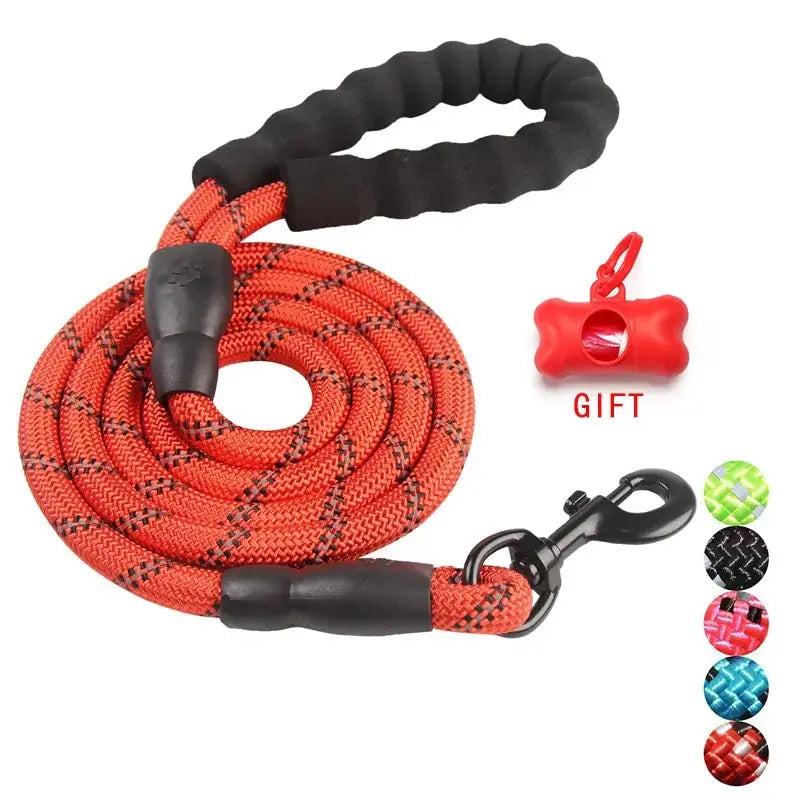 Pet Dog Leash Walking Training Leash Mishmishpets