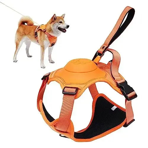 All-in-One Dog Harness & Retractable Leash - Mishmishpets